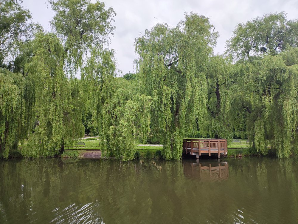 A Photo of Lower Pond