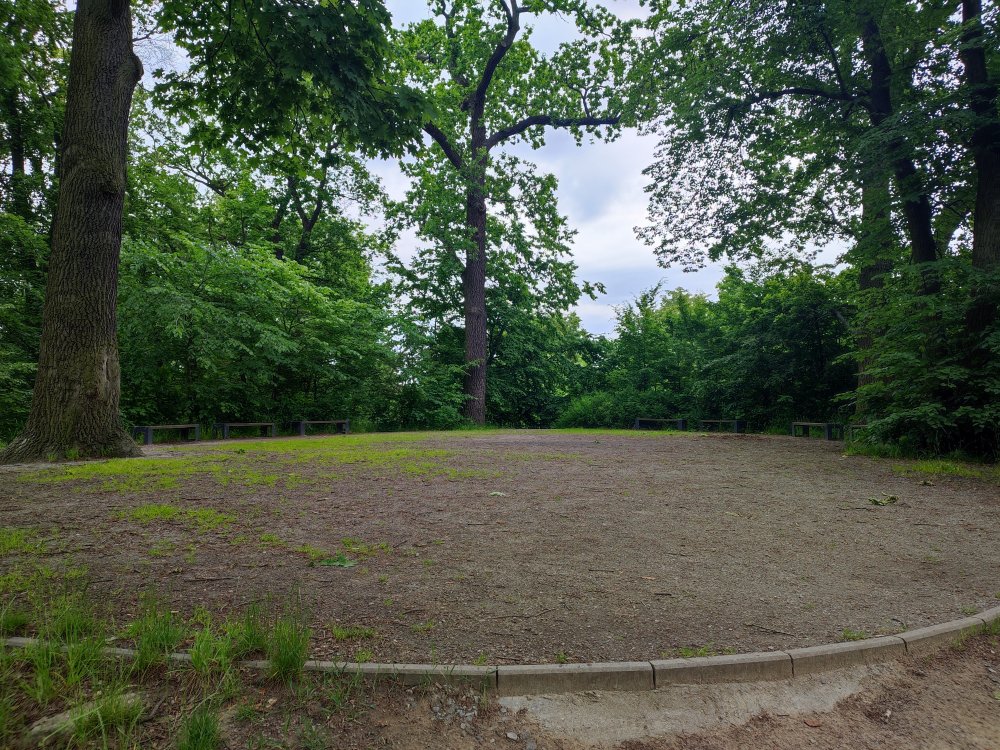 A Photo of the Clearing