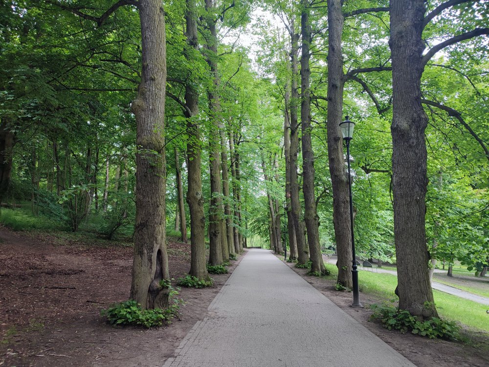 A Photo of the Final Part of the Southern Path